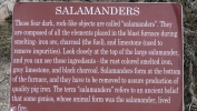 PICTURES/Old Iron Town Ruins - Cedar City UT/t_Salamanders Sign1.JPG